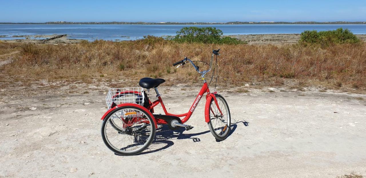 Samphire: Coorong Accommodation Meningie المظهر الخارجي الصورة